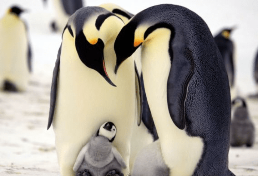 6890a26e-b4b9-41da-a17a-aa40c5ffbb51